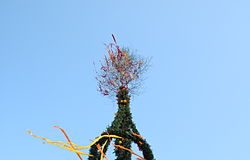 De hedniska högtiderna lever än